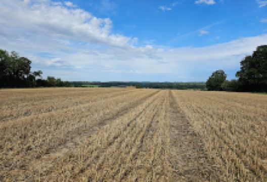 Upham Recreation Ground景点图片