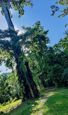 Cacao Trails - Museo de Cacao-Talamanca