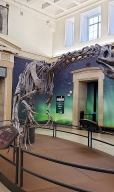 布法罗科学博物馆-布法罗