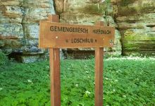 "Zwei Mezolitische Gräber am Loschbur" - info table景点图片