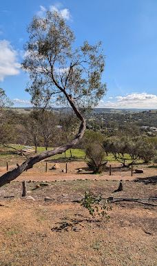 Pelham Lookout & Reserve-图吉