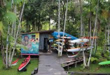 AMAZON PADDLE CLUB景点图片