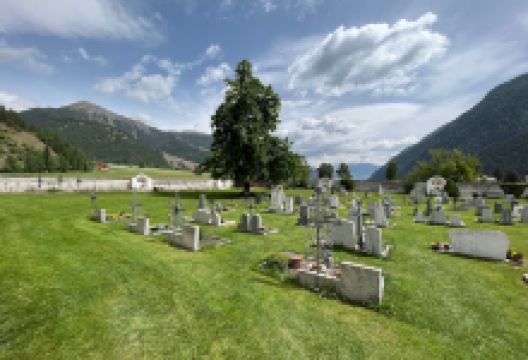 museum & butia景点图片