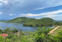 VEHA Coffee Mountain View美食图片