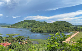 VEHA Coffee Mountain View