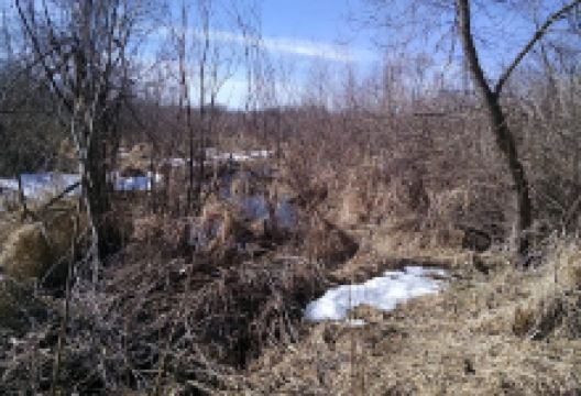 Koro Railroad Prairie State Natural Area景点图片