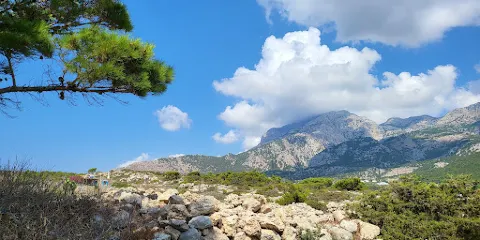 Ancient Roman cistern