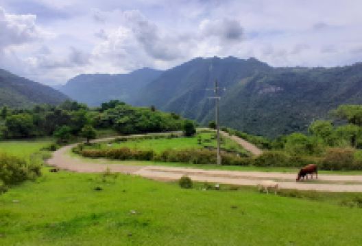 La Laguna景点图片