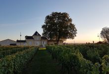 Chateau La Grande Barde景点图片