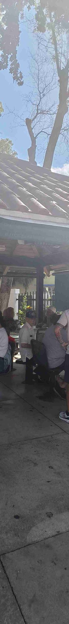 小哈瓦那-迈阿密-DANIEL ZHANG🍀