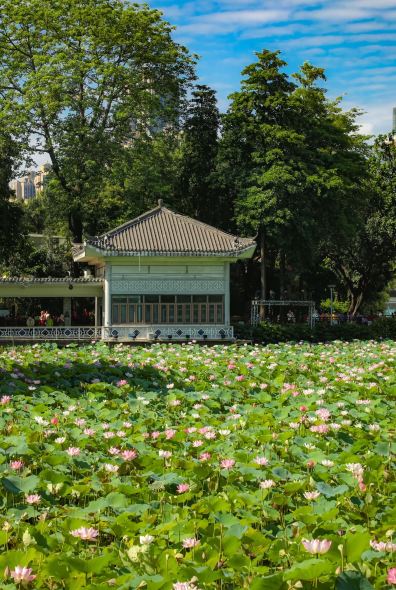 荔湾湖公园景点图片 6