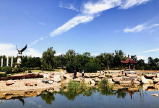 寿阳生态植物园景点图片