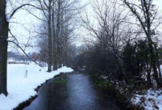 Parque de la Finca de los Obesos景点图片