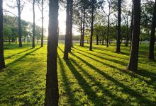 Malvinas Argentinas park景点图片