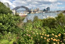 Wendy Whiteley's Secret Garden景点图片