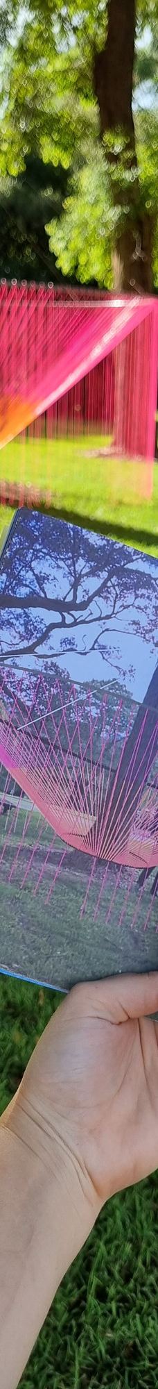 卧龙岗植物园-Keiraville