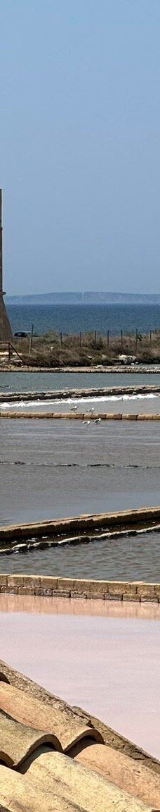 Salt Museum-特拉帕尼省