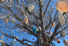 Folly Beach County Park景点图片