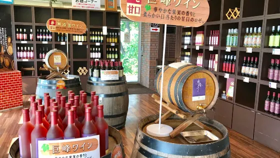 Chateraise Belleforet Winery