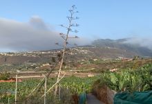 Barranco de Las Arenas景点图片