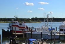 Dennis Point Marina and Campground景点图片