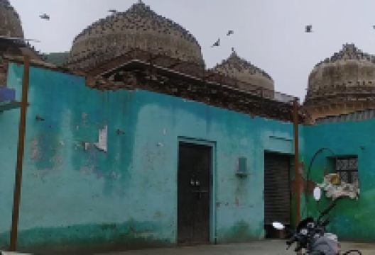 Talvriksha景点图片