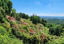 Parco della Burcina景点图片