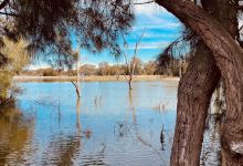 Lake Wyangan景点图片