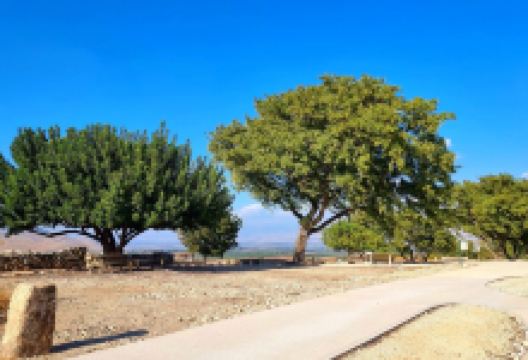 Tel Hazor National Park景点图片