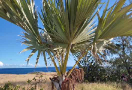 Le Musée du Sel景点图片