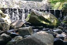 水分峡森林公園景点图片
