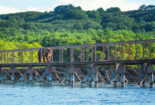 Kurile Lake景点图片