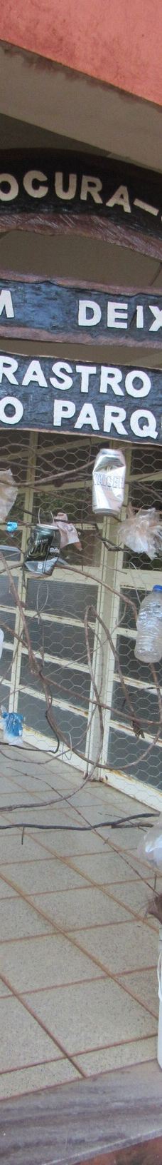 Parque Estadual Mata do Limoeiro-伊塔比拉