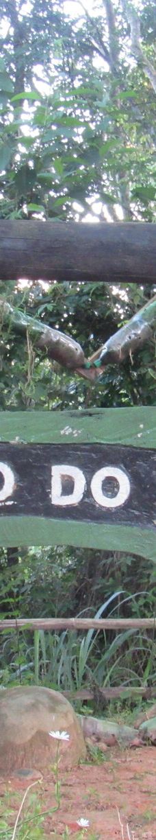 Parque Estadual Mata do Limoeiro-伊塔比拉