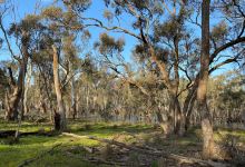 Murray Valley National Park景点图片