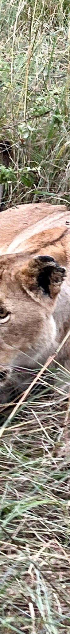 Adventure Africa Expedition-内罗毕