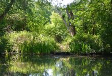 Gobions Wood Nature Reserve景点图片