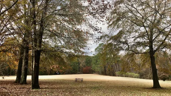 Ronald Regan Park