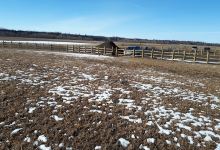 West River's Edge Dog Park景点图片