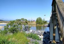 Paradise Grove Campground景点图片