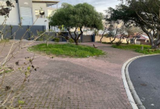 Mimosa Park Plattekloof景点图片