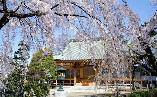 寶幢寺