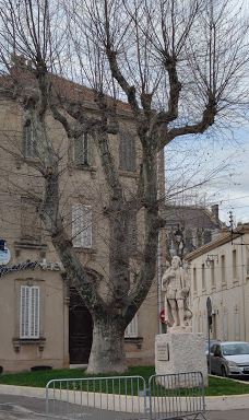 Jardin d'enfants de la Place du Général de Gaulle-普罗旺斯地区萨隆