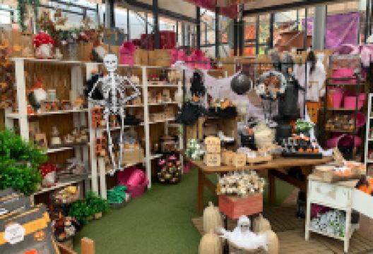 Oázis Kertészet - Budakeszi购物图片