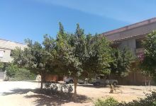 منطقة د03 عبد القادر دزيري景点图片