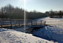 Nature area De Veste景点图片