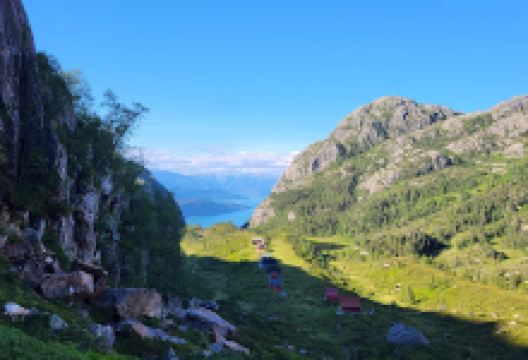 grønrimb景点图片