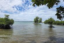 Pantai Pasir Putih景点图片