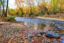 Patapsco Valley State Park - Avalon Area景点图片