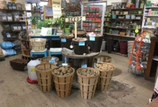 Wagon Wheel Garden and Pet购物图片